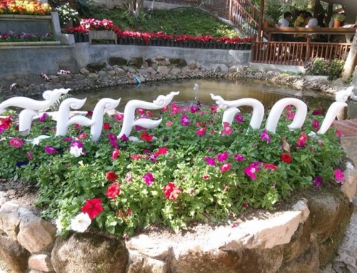 พาเที่ยว The Doi Resort