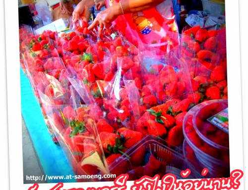 เก็บสตรอเบอร์รี่ ยังไงให้อยู่นาน ?