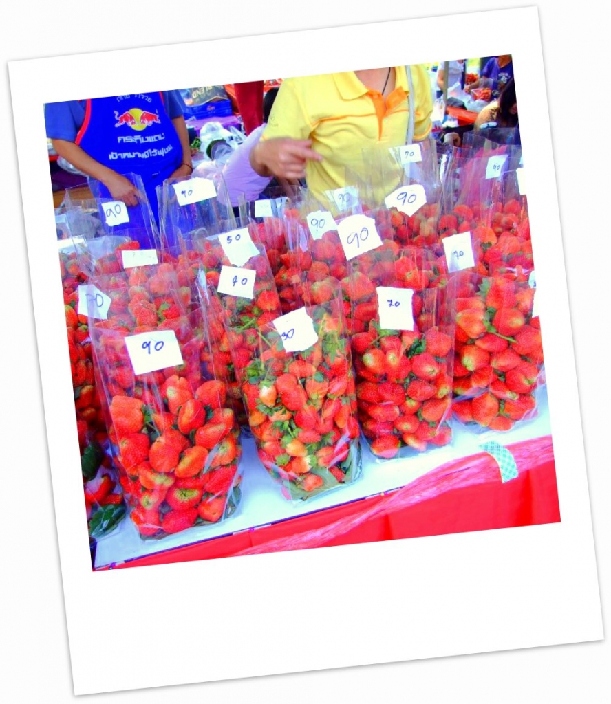 งานสตรอเบอร์รี่หวานของดีเมืองสะเมิงปี2555-40