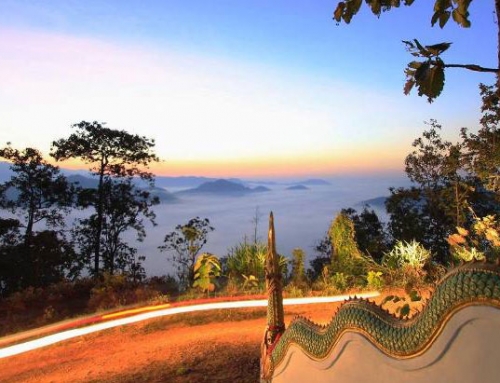 พาชมทะเลหมอก บนพระธาตุดอยนก