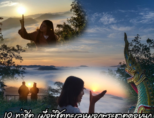 10 ท่าฮิต เมื่อมาพิชิตทะเลหมอก พระธาตุดอยนก