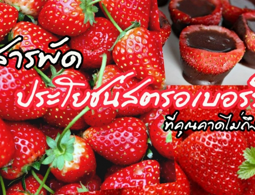 สารพัดประโยชน์ของสตรอว์เบอร์รี ที่คุณคาดไม่ถึง