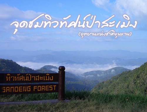 จุดชมทิวทัศน์ป่าสะเมิง (อุทยานแห่งชาติขุนขาน)