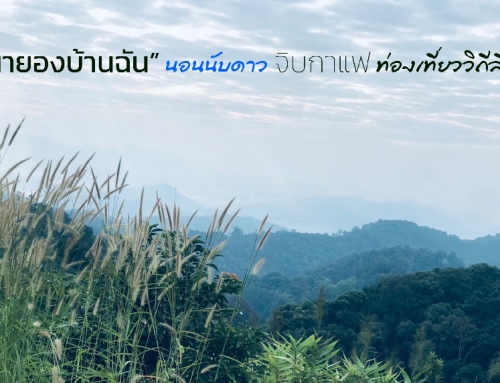 EP04 “ผายองบ้านฉัน” นอนนับดาว จิบกาแฟ ท่องเที่ยววิถีลีซู
