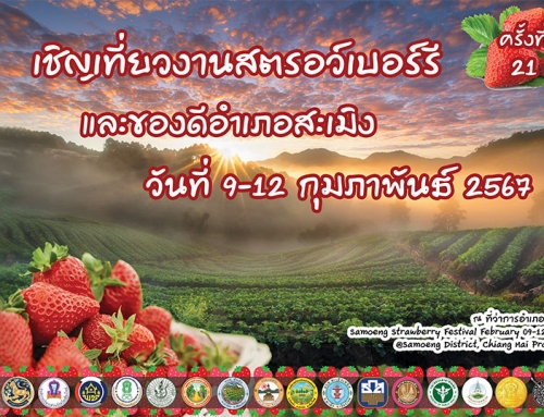 ชวนเที่ยวงานเทศกาลสตรอเบอร์รี ของดีอำเภอสะเมิง ครั้งที่ 21 ประจำปี 2567